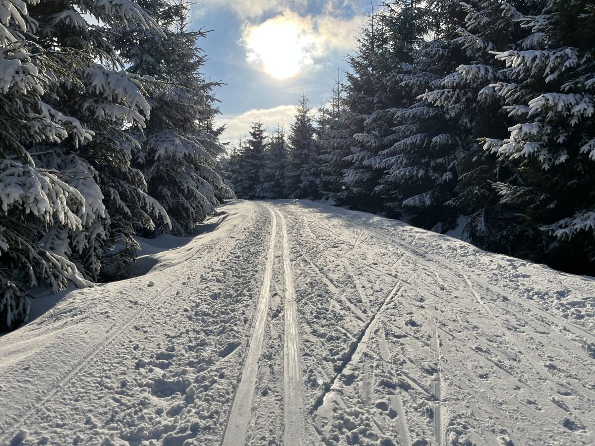 Loipen rund um Altenberg – 45 km gespurte Langlauf-Loipen