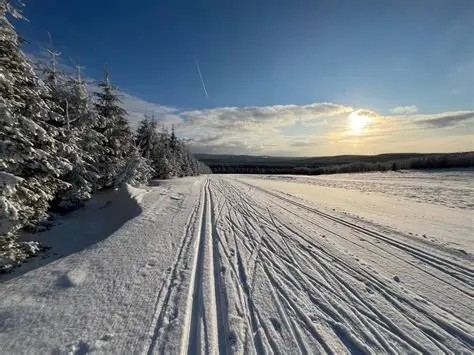 Skimagistrale – klassische Langlauf-Loipe im Osterzgebirge