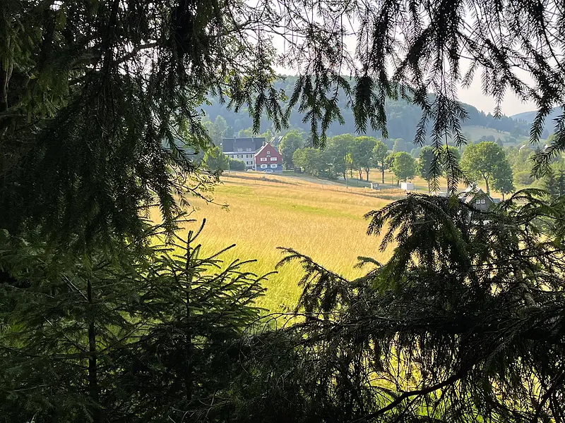 Umgebung Sommer Blick Rehefeld Tal 800w – Ferienwohnungen Rehefeld-Zaunhaus