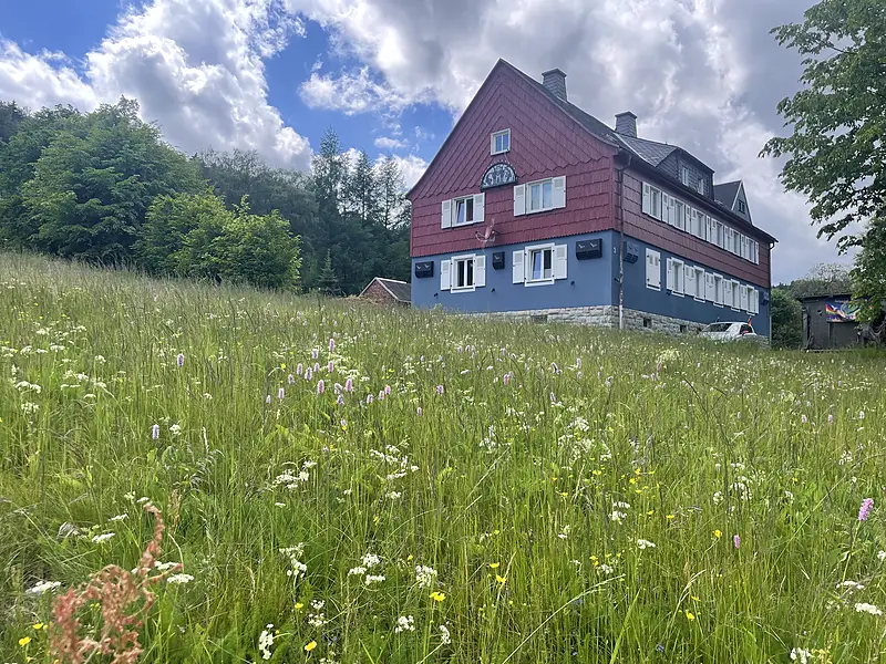 Umgebung Sommer Ferienhaus Bergwiese 800w – Ferienwohnungen Rehefeld-Zaunhaus