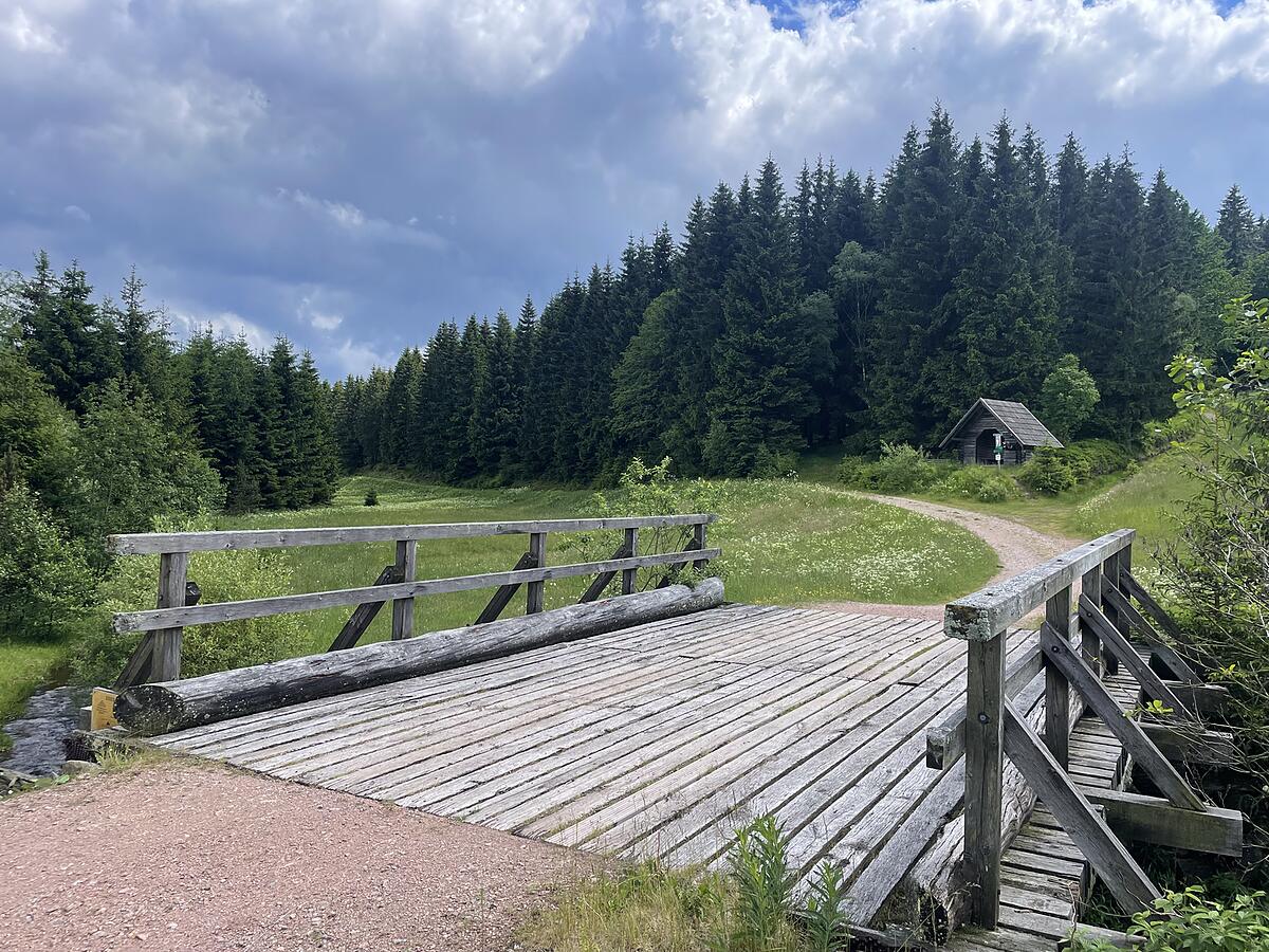 Holzbrücke am Wanderweg im Osterzgebirge