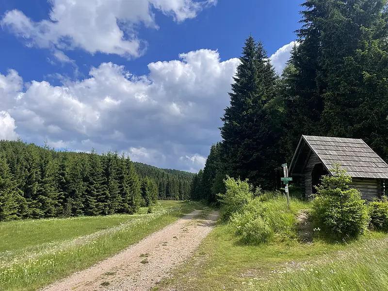 Umgebung Sommer Schutzhuette Wanderweg 800w – Ferienwohnungen Rehefeld-Zaunhaus