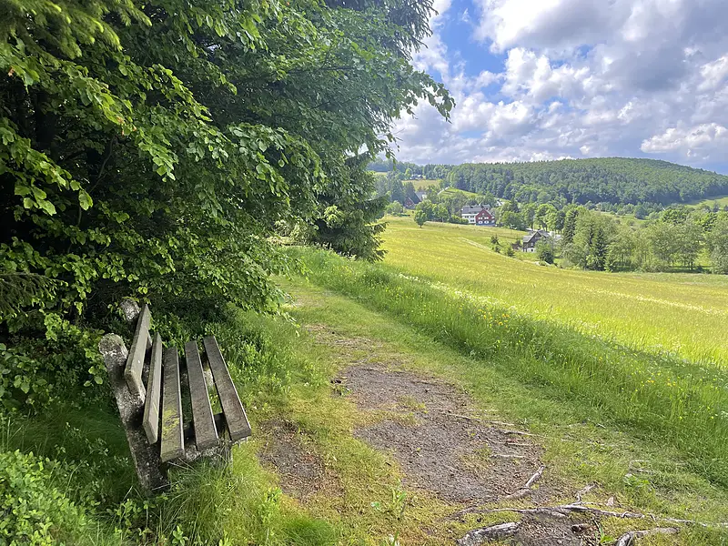 Umgebung Sommer Wanderweg Aussicht 800w – Ferienwohnungen Rehefeld-Zaunhaus