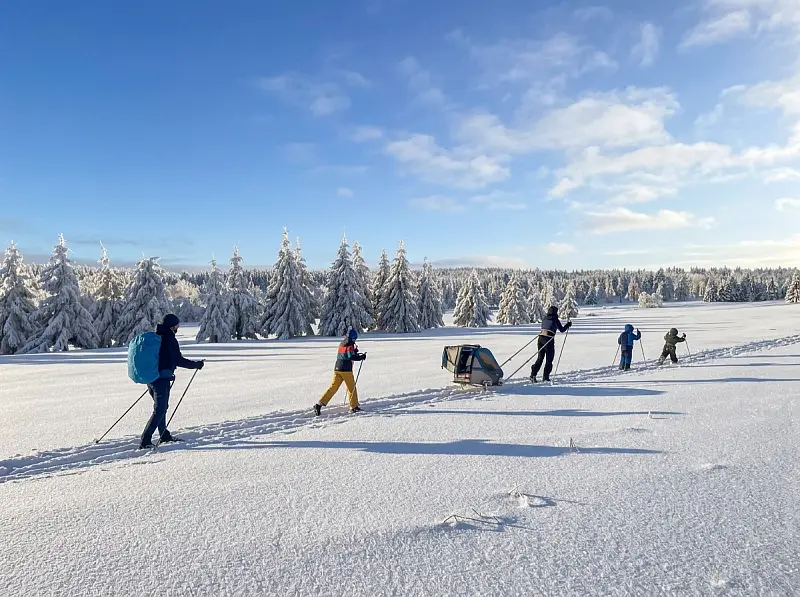 Langlauftour Auf Dem Erzgebirgskamm Bei Rehefeld 800w – Ferienwohnungen Rehefeld-Zaunhaus