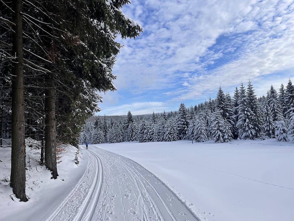 Loipe am Waldrand mit Winterpanorama