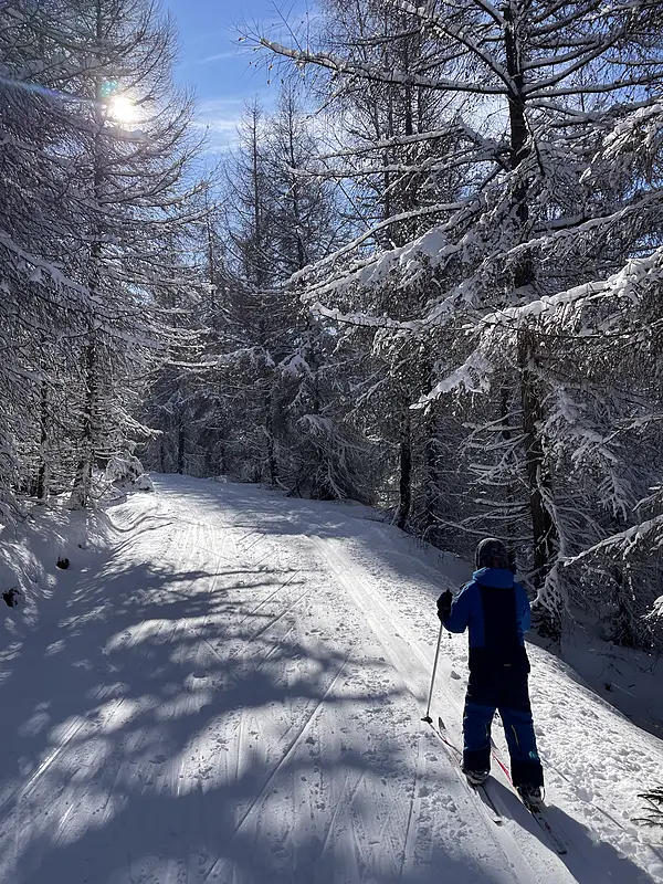 Umgebung Winter Skifahrer Sonne 800w – Ferienwohnungen Rehefeld-Zaunhaus